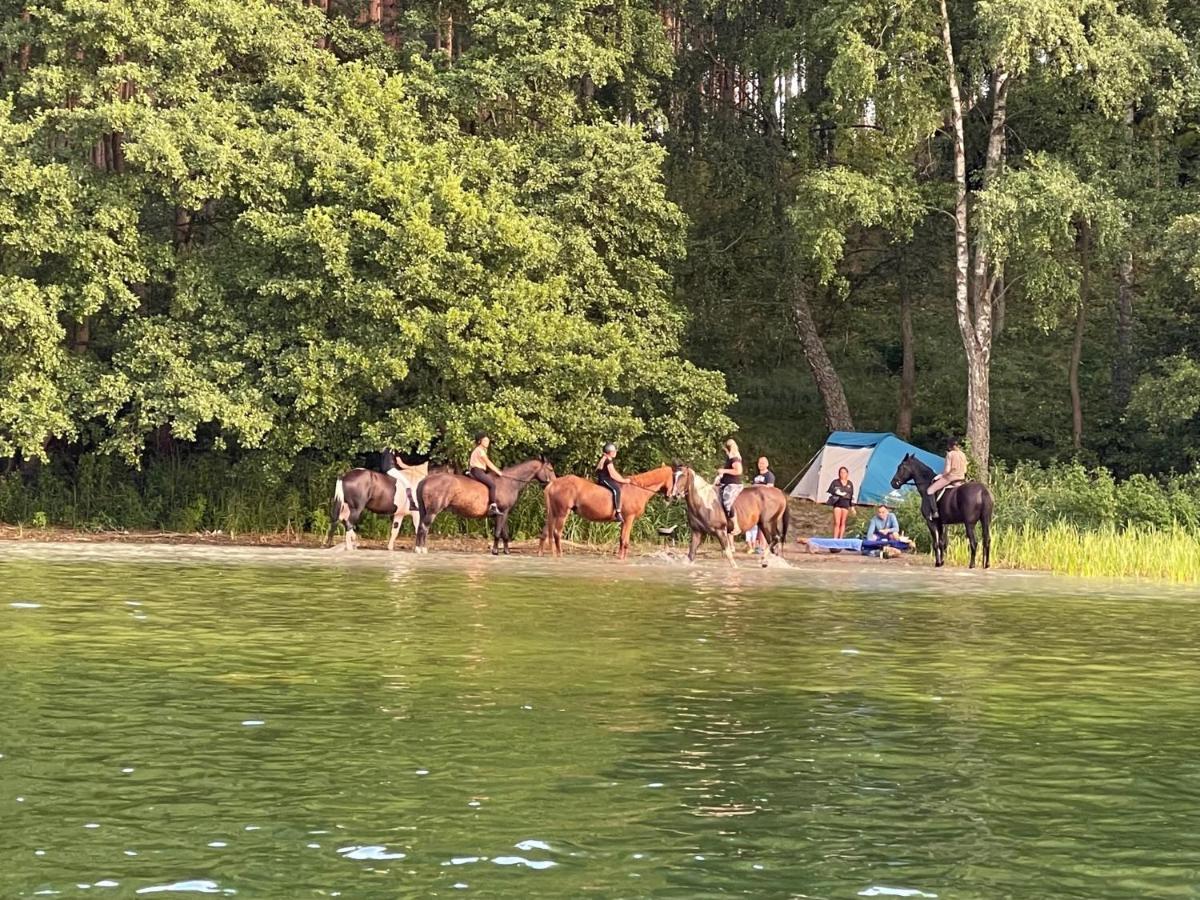 Schadzka W Dwunastce Z Widokiem Na Jezioro Borsk Buitenkant foto